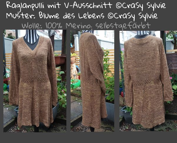 Raglanpulli mit V-Ausschnitt