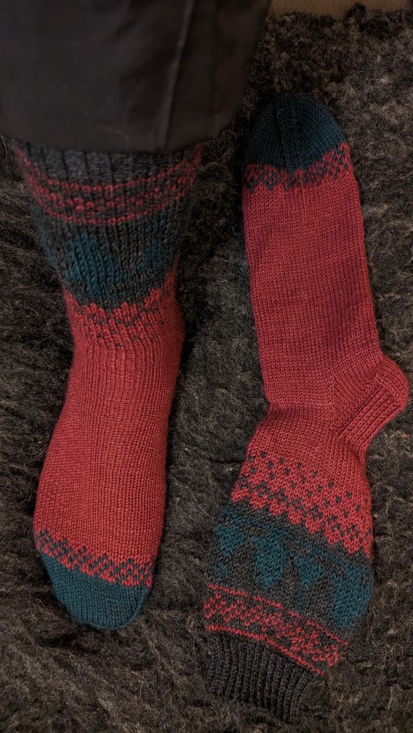 Tannensocken