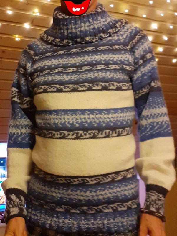 Rollkragen Pullover mit Pro Lana Fjord