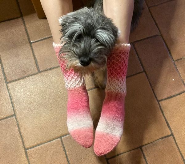 Socken