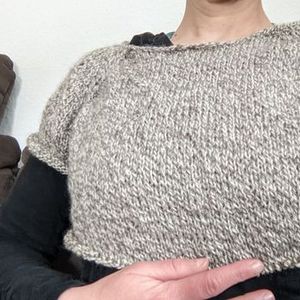 (Erster?) Raglan-Pulli