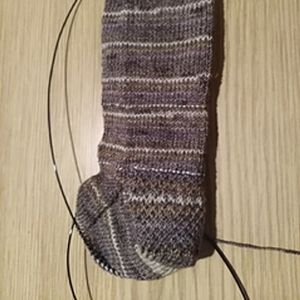 Socken Waldspaziergang