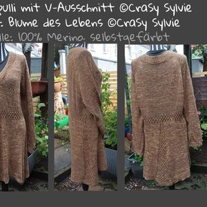 Raglanpulli mit V-Ausschnitt