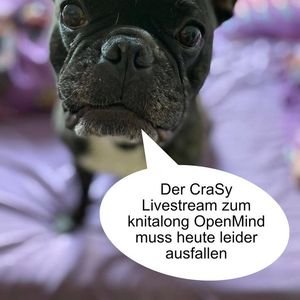 OpenMind